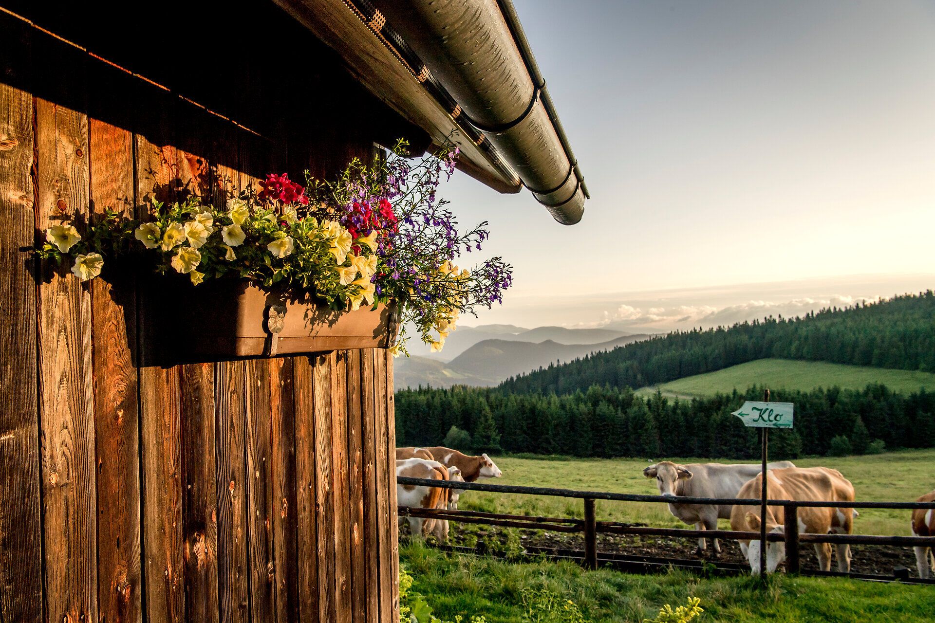 Die sanften Hügel der Wiener Alpen laden zu einem unvergesslichen Sommerausflug ein. Bunte Blumen schmücken die Holzveranda, während friedlich grasende Kühe die idyllische Landschaft beleben. Hier, umgeben von der Schönheit der Natur, wird jeder Moment zum Genuss.