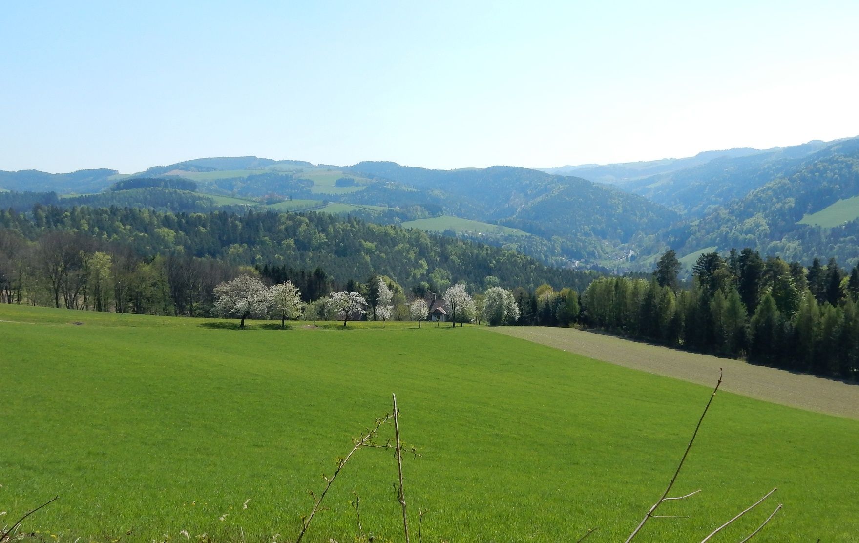 Hiking with Views in Edlitz | Bucklige Welt