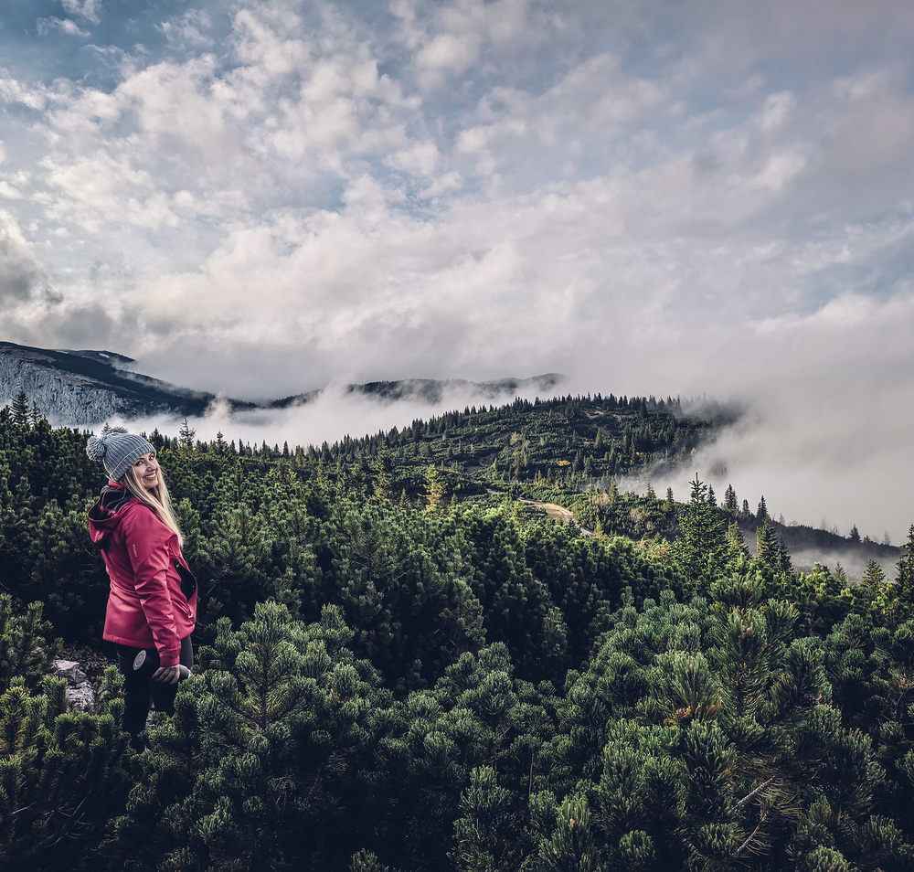 Inmitten der majestätischen Raxberge entfaltet sich eine atemberaubende Landschaft, die zum Verweilen einlädt. Die dichten, grünen Nadelbäume und der sanfte Nebel verleihen der Szenerie eine mystische Atmosphäre, während die frische Bergluft die Sinne belebt.