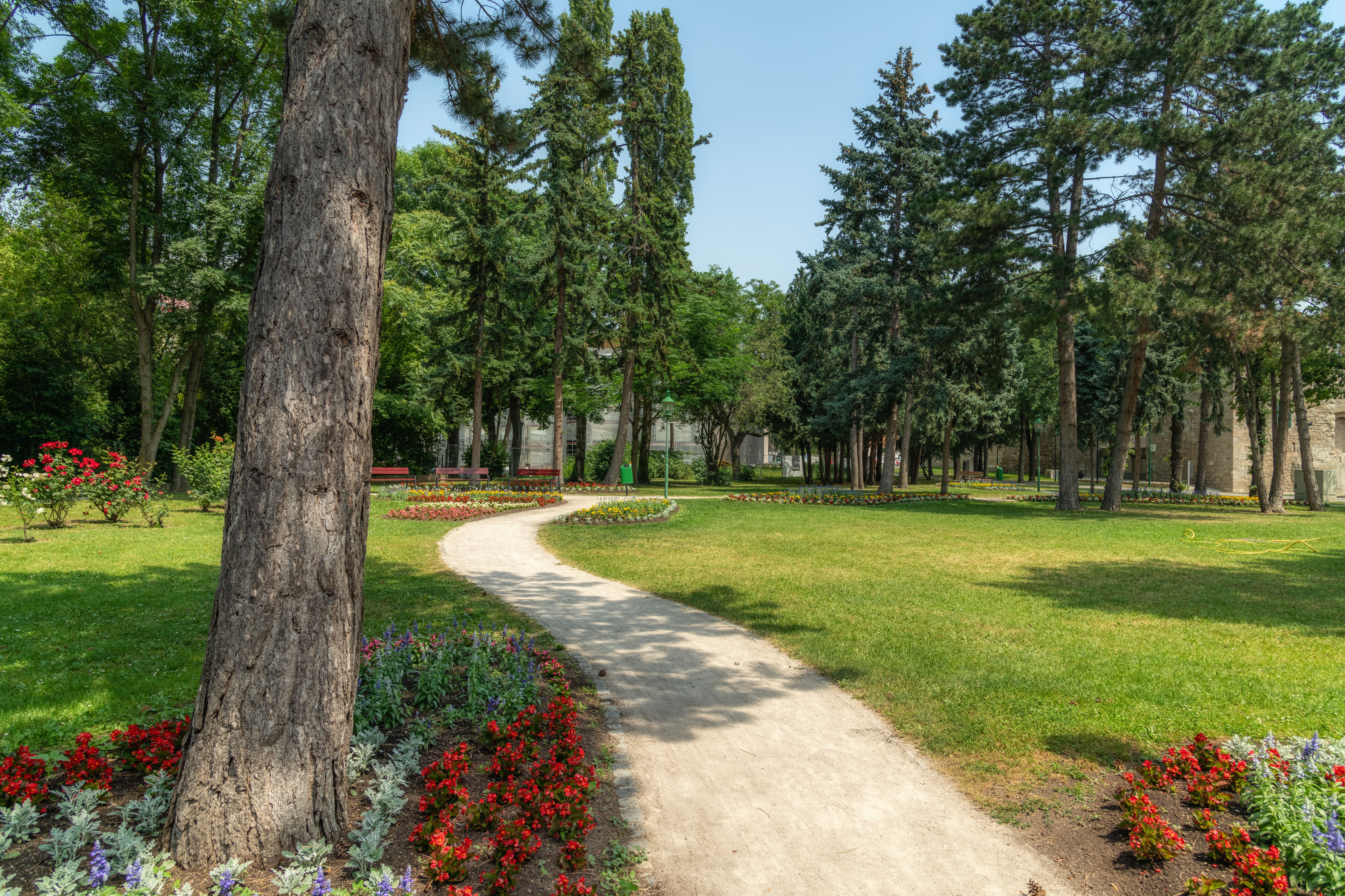 Weg durch den blühenden Park. 