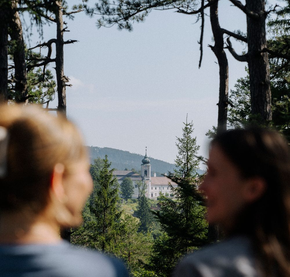 Wanderer genießen die Aussicht bei einer Lichtung 