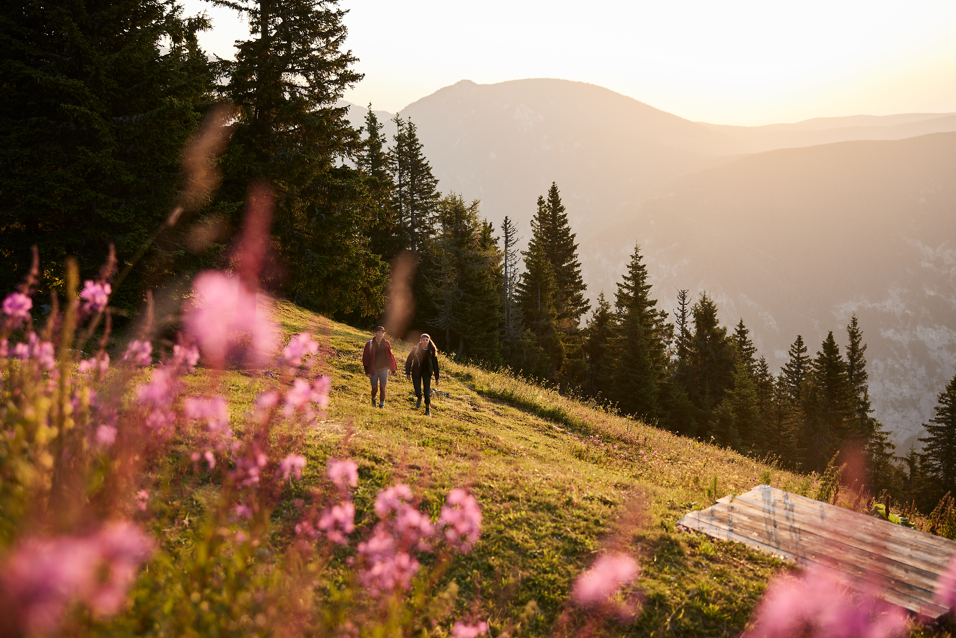 Rax, Wandern, Raxalpe, Wiener Alpen in Niederösterreich