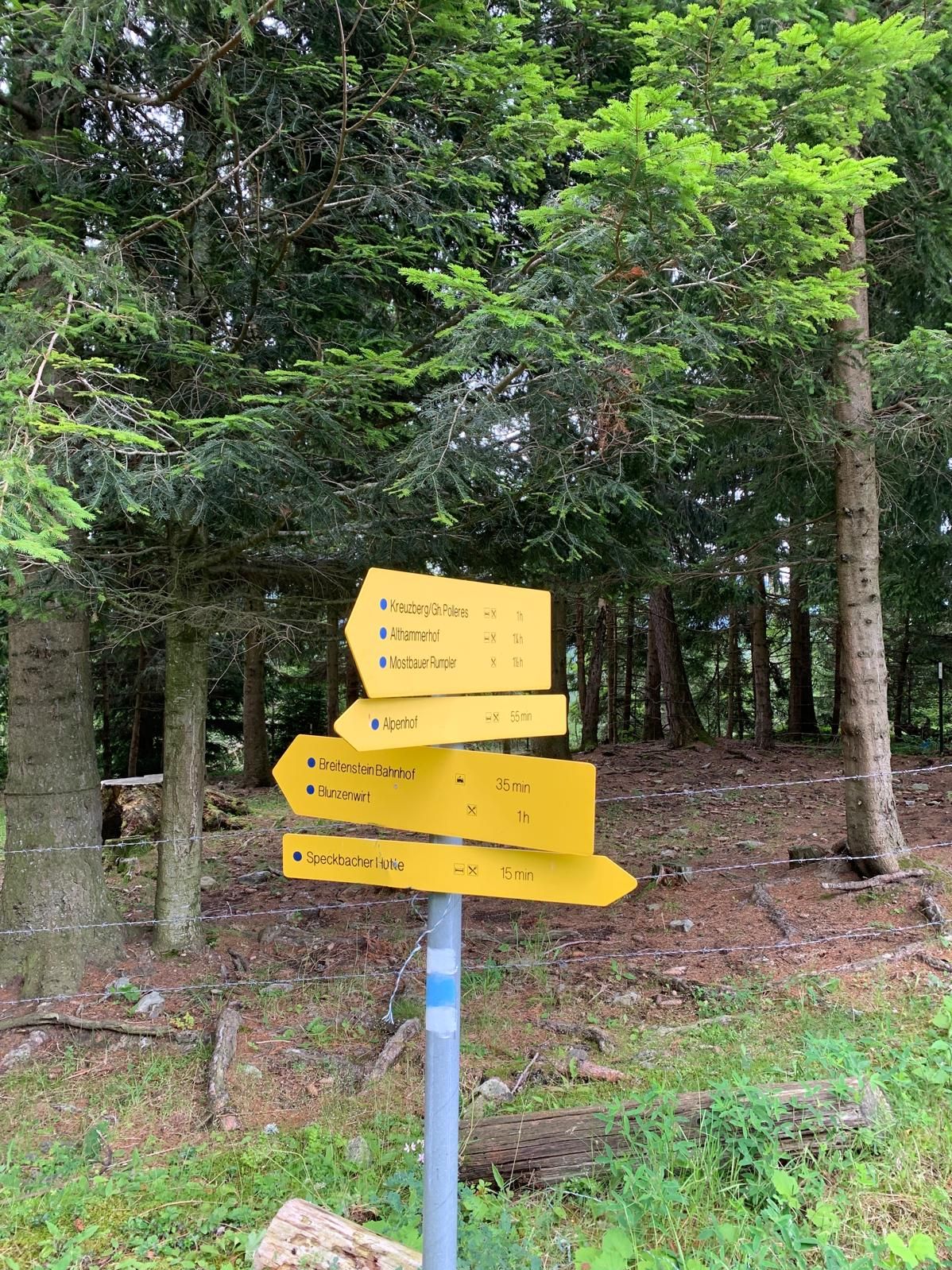ein Steher mit vier gelben Wanderschildern, dahinter Wald