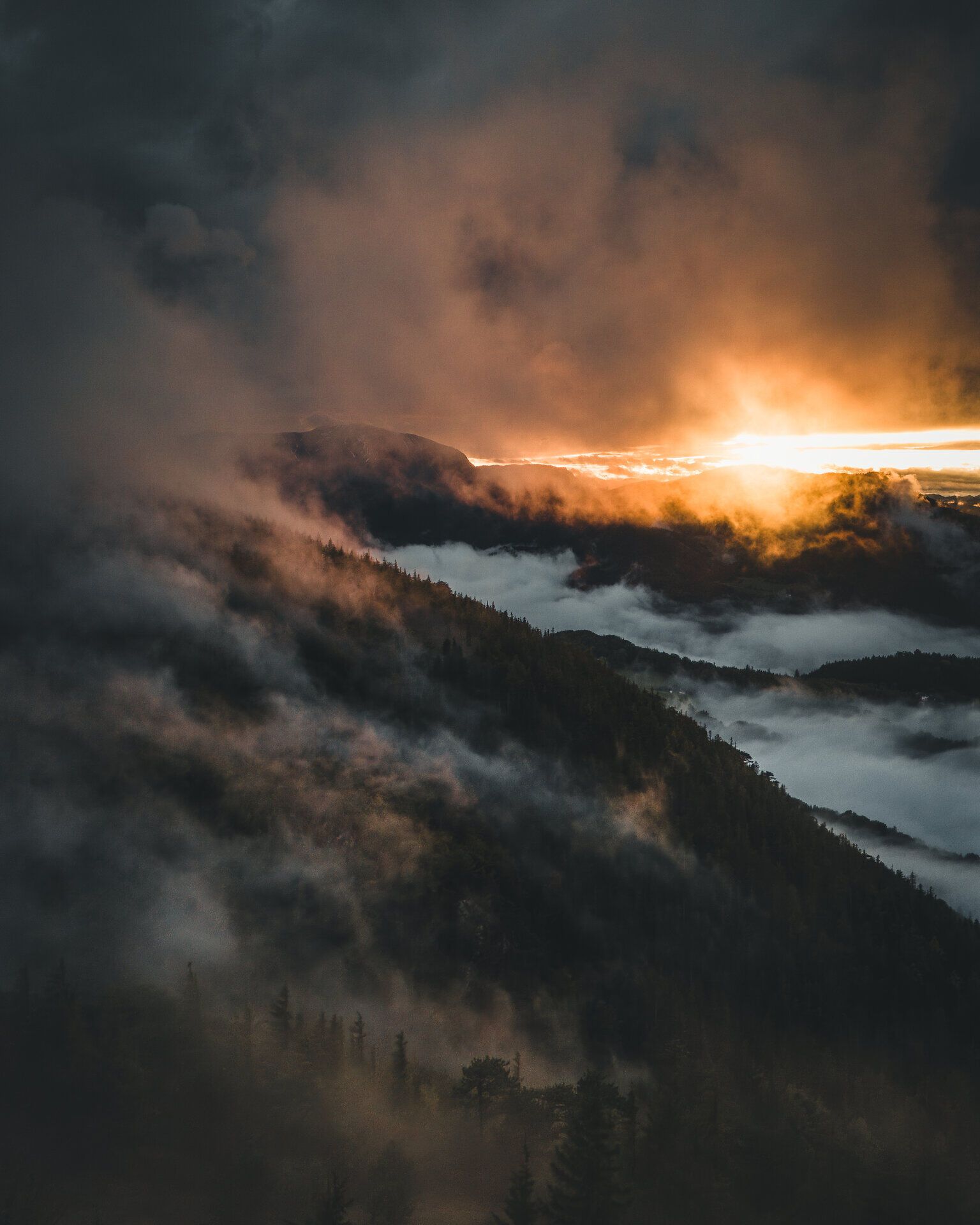 Die Hohe Wand präsentiert sich in einem mystischen Herbstnebel, der die sanften Hügel und dichten Wälder umhüllt. Die goldenen Strahlen der Sonne brechen durch die Wolken und verleihen der Landschaft eine zauberhafte Atmosphäre, die zum Verweilen und Entdecken einlädt.