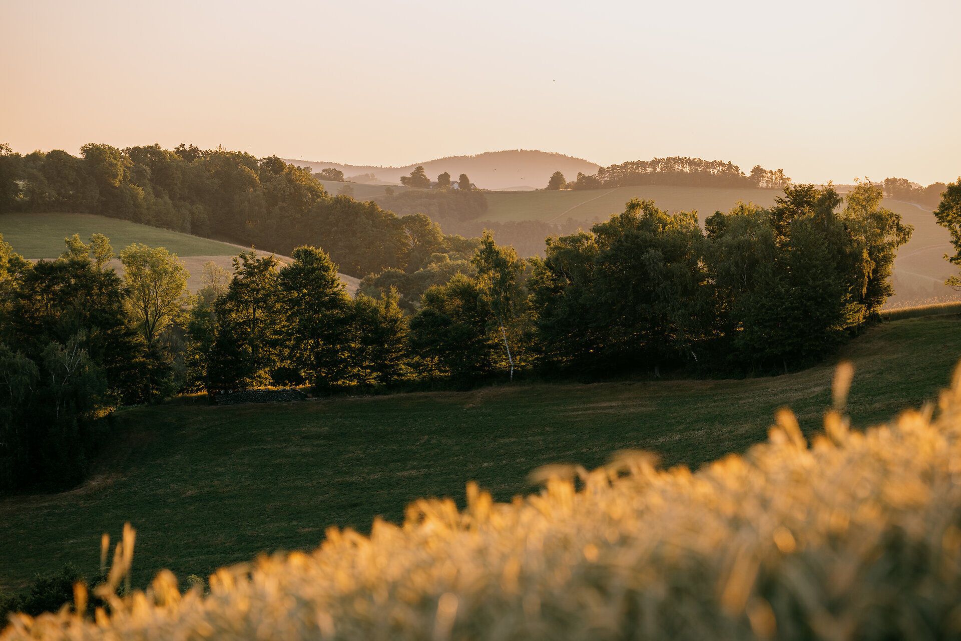 Landschaftsaufnahmen der Buckligen Welt im Sommer