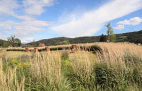 Green meadow with picnic tables and tall grasses, surrounded by hills and blue sky.