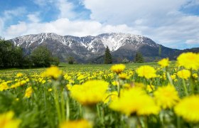 Schneeberg (c) Franz Zwickl, &copy; Wiener Alpen in Nieder&ouml;sterreich