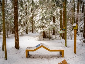 H&oacute;val bor&iacute;tott erdő, fapaddal, s&aacute;rga mad&aacute;retetővel &eacute;s &uacute;tjelző t&aacute;bl&aacute;kkal.
