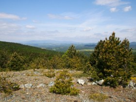 Kleine Plyscha, © Unknown