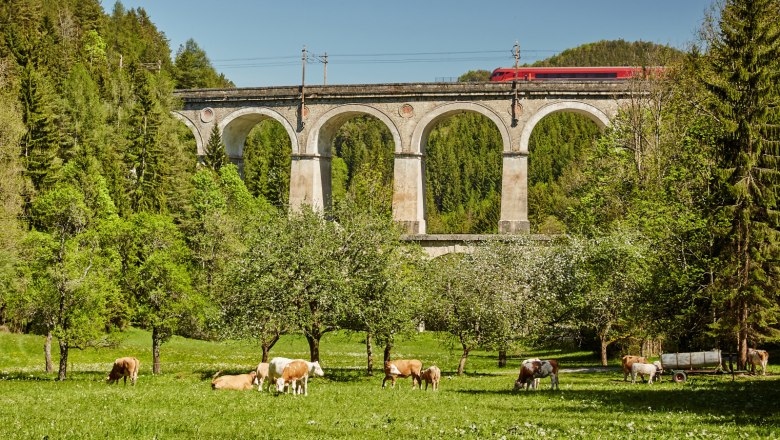Semmeringbahn , © Niederösterreich Werbung/Michael Liebert