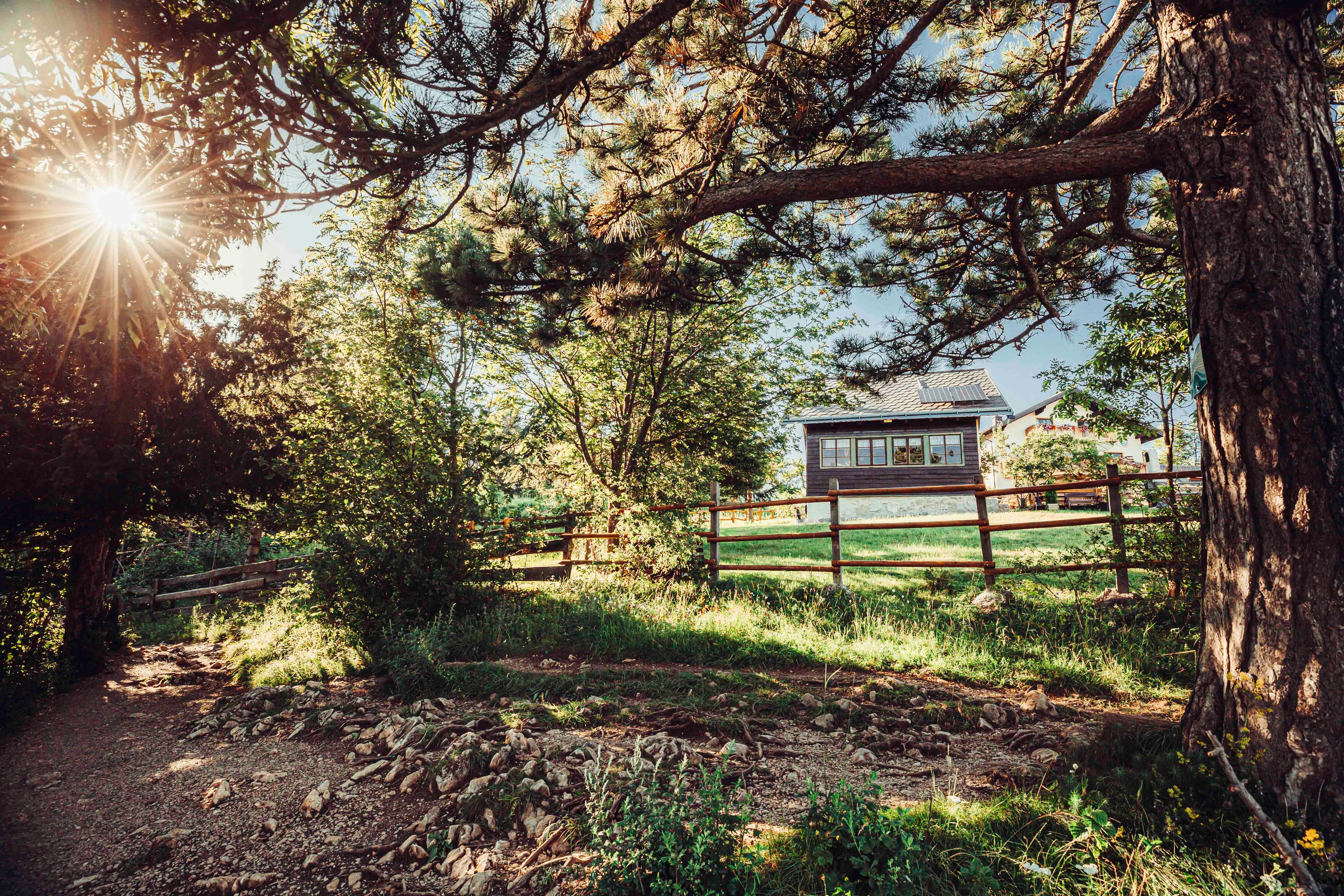 Sonnenstrahlen durch Bäume in einem Naturpark mit einem Holzhaus im Hintergrund.