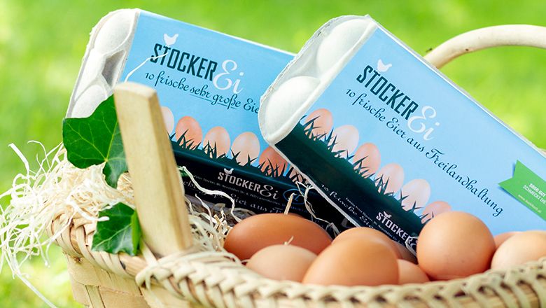 Ein Korb mit zwei Eierschachteln und Hühnereiern auf einer grünen Wiese.