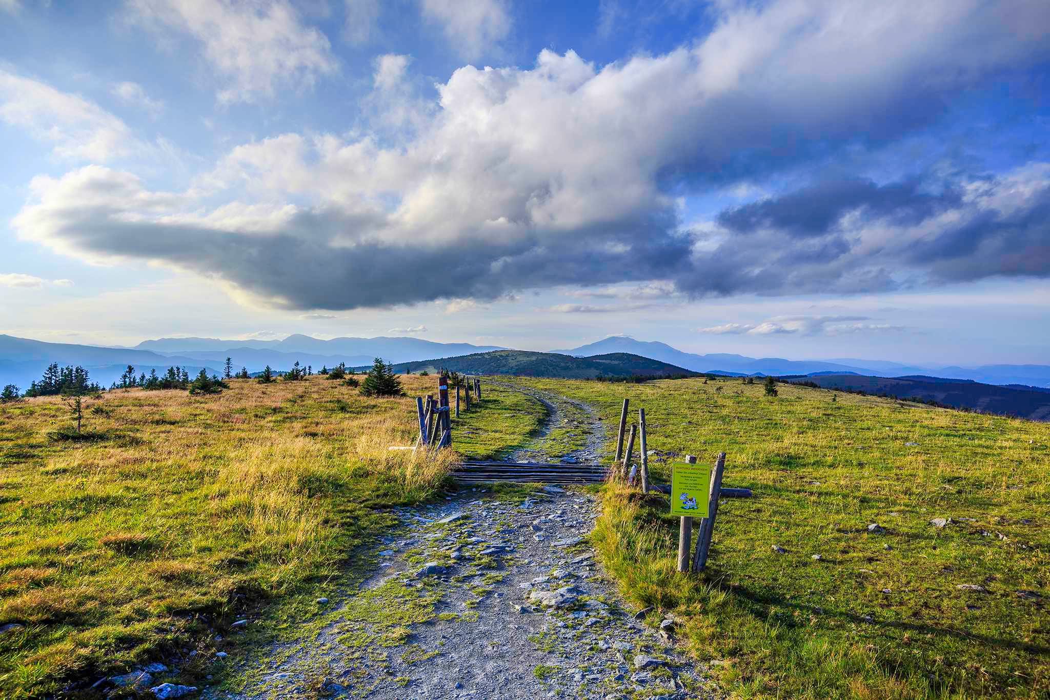 Wanderweg auf einer Bergwiese mit Blick auf den Hochwechsel und bewölktem Himmel.