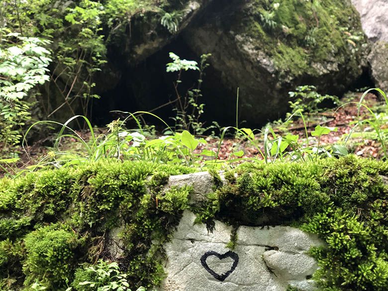 A moss-covered stone in the forest with a heart symbol painted on it.