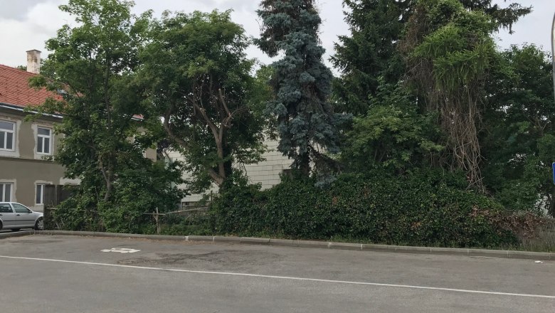 Leerer Parkplatz mit Bäumen und einem Gebäude im Hintergrund.
