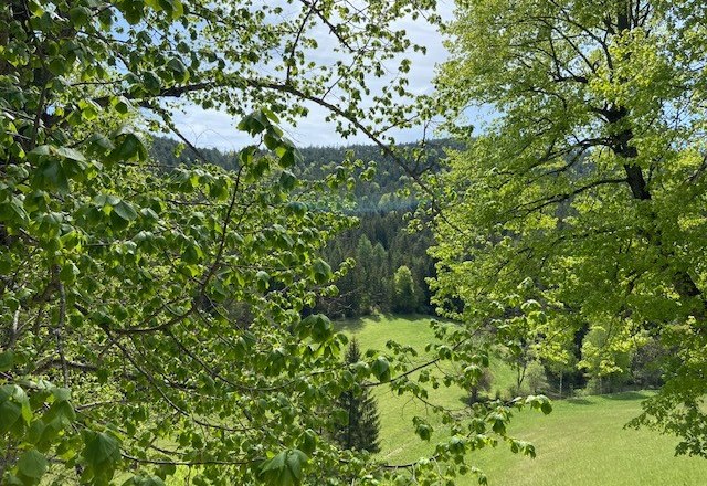 Aussicht - Oberhof, © Wiener Alpen