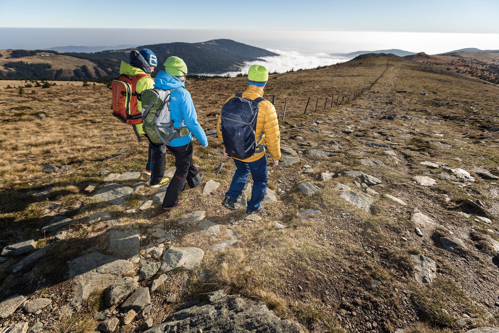 Die Wanderer genießen die frische Bergluft und die atemberaubende Aussicht auf die sanften Hügel und das Wolkenmeer, das sich unter ihnen ausbreitet. Umgeben von der unberührten Natur der Wiener Alpen, spüren sie die Freiheit und den Frieden, die diese Landschaft ausstrahlt.