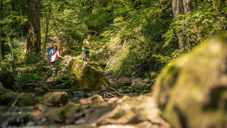 Familie wandert in der Johannesbachklamm, umgeben von üppigem Grün und Felsen.