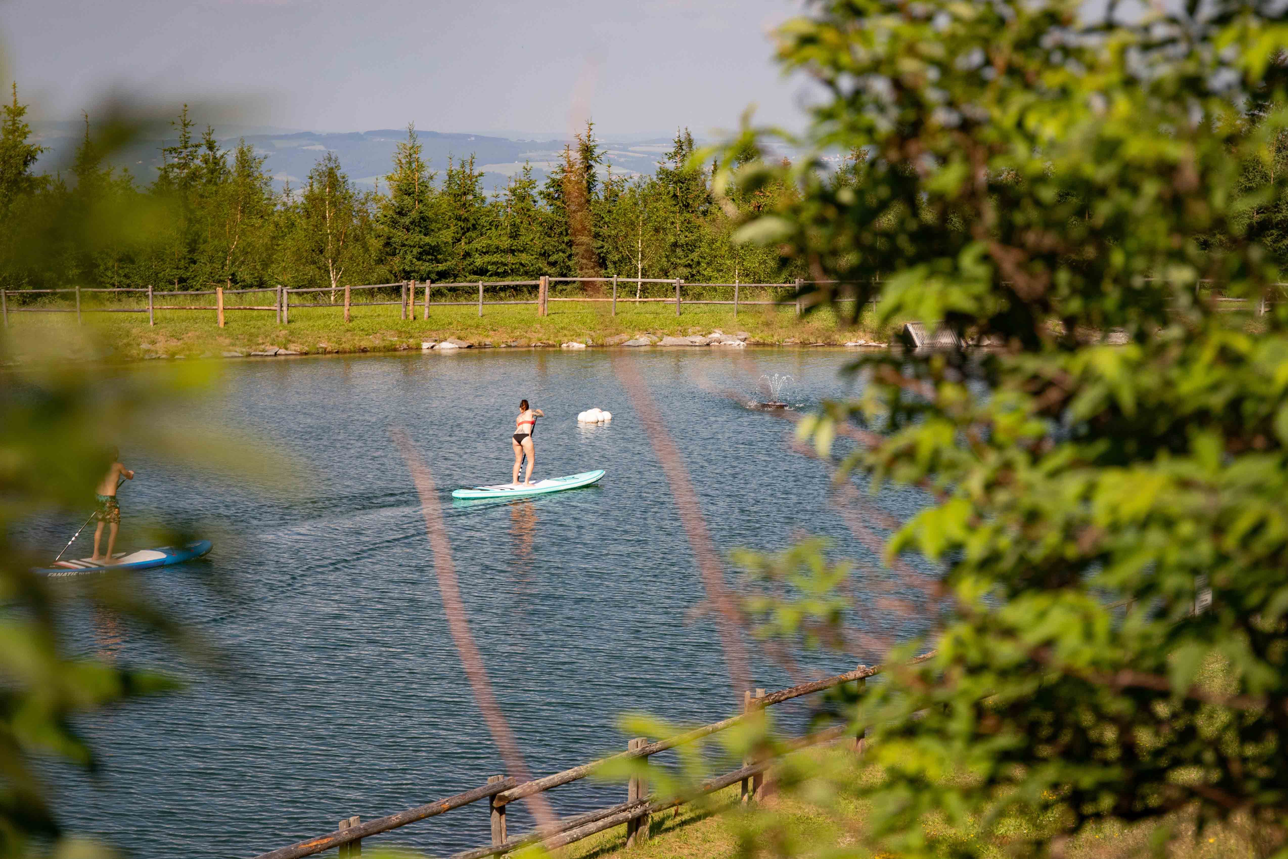 Zwei Personen beim Stand-Up-Paddling auf einem Teich, umgeben von Bäumen.