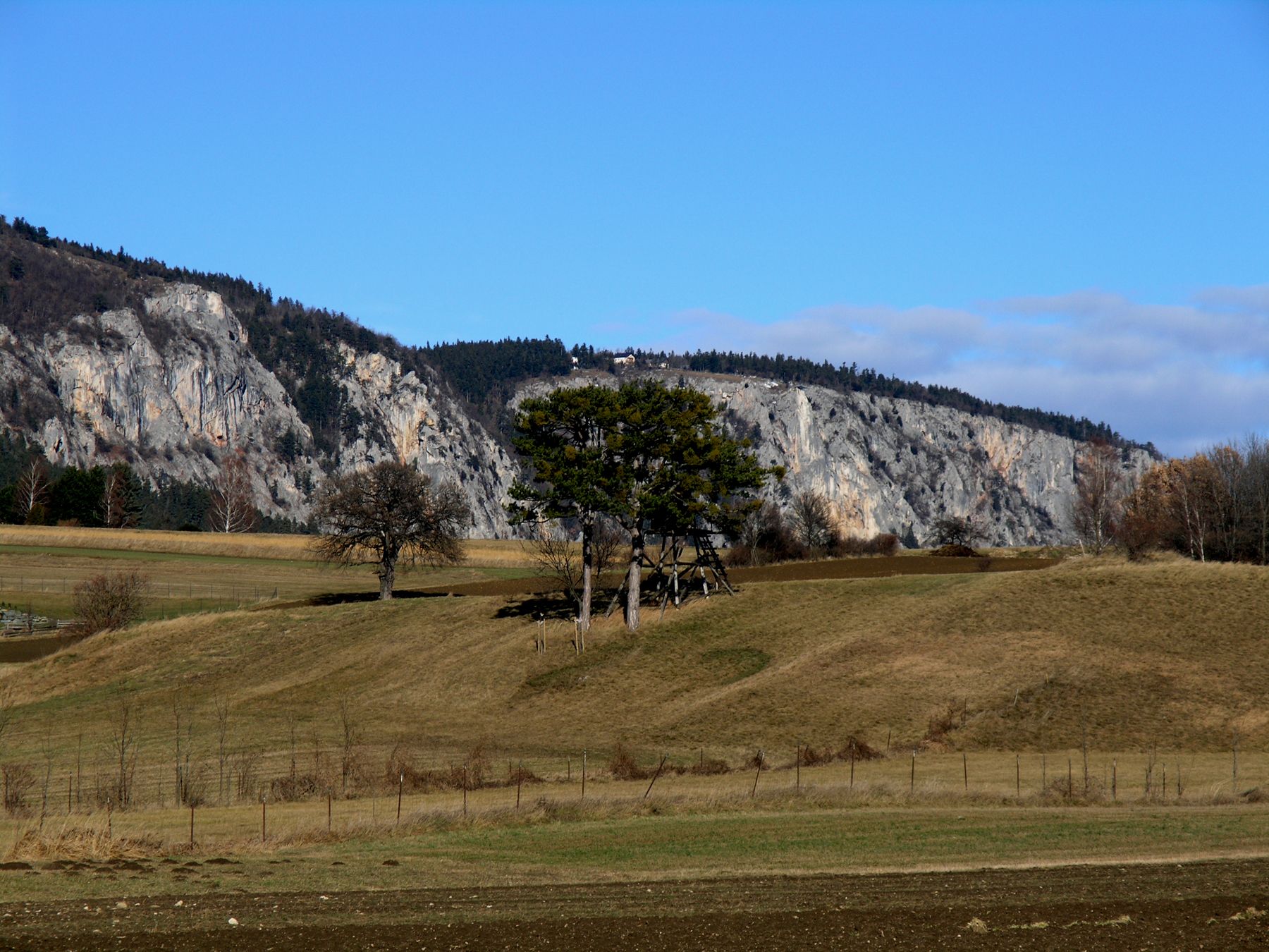 Landschaft mit Felsen und Bäumen vor blauem Himmel.