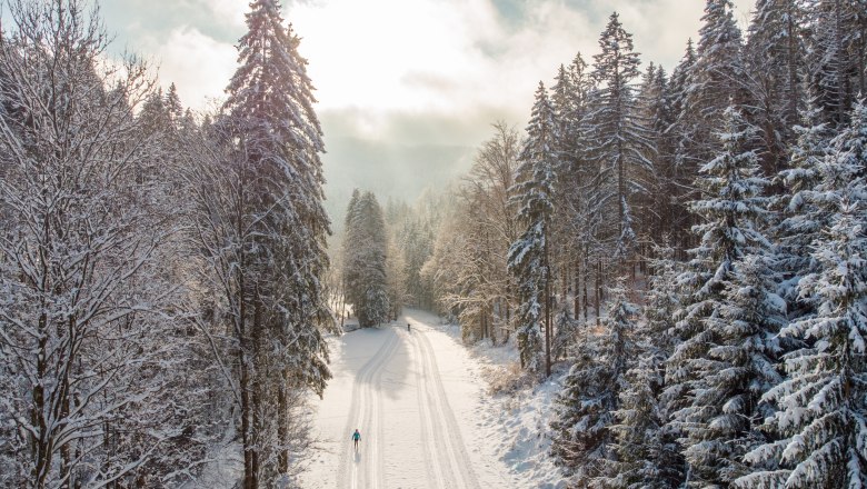 Verschneite Langlaufloipe in einem Wald mit zwei Langl&auml;ufer:innen.