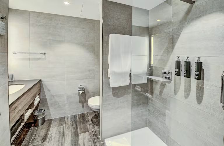 Großes, modernes Badezimmer mit grauen Fliesen, Walk-In Shower, WC und Waschbecken.