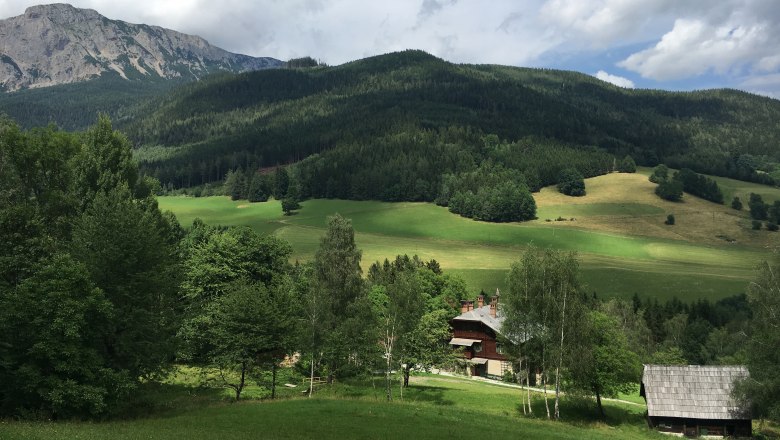 Ein Bauernhof in einer grünen, hügeligen Landschaft mit Bergen im Hintergrund.