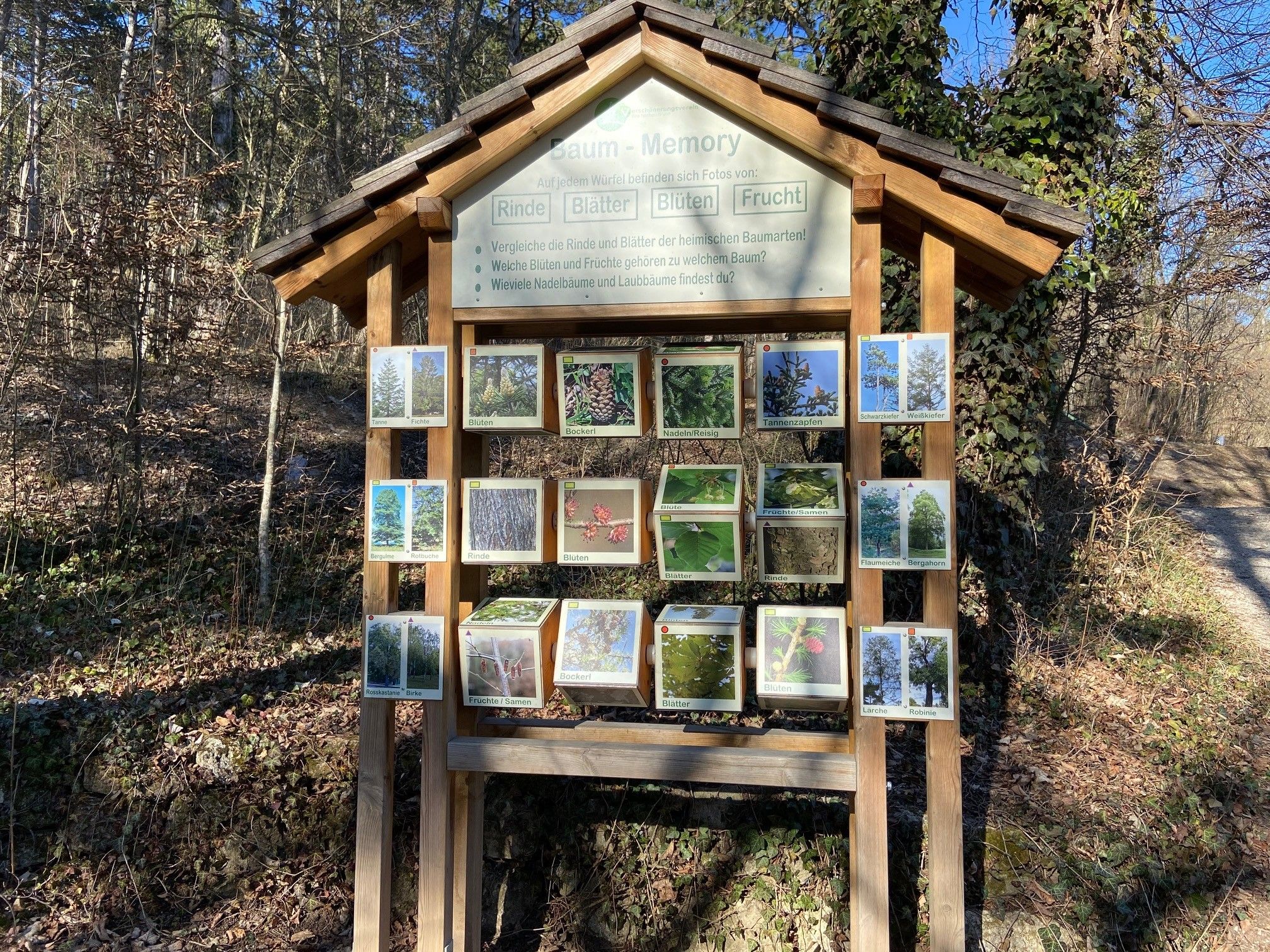 Ein hölzernes Schild im Wald zeigt ein Baum-Memory-Spiel mit Bildern von Rinde, Blättern, Blüten und Früchten verschiedener Bäume.