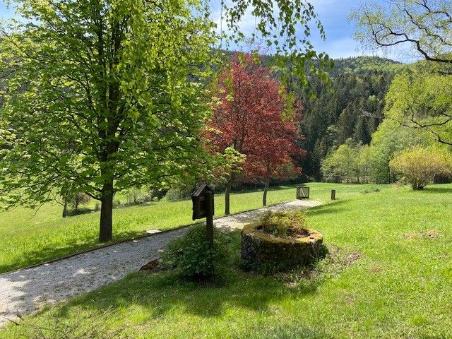 Ein grüner Park mit Bäumen, einem Weg und einem alten Brunnen.