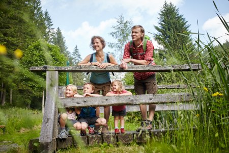 Wanderungen für die ganze Familie, © Wiener Alpen/Florian Lierzer