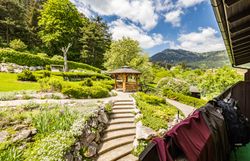 Aussicht auf den grünen Garten 