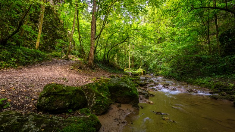 Ein Waldweg entlang eines flachen Baches in der Johannesbachklamm, umgeben von üppigem Grün und Felsen.