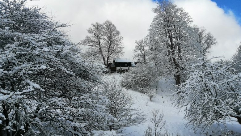 Snowy landscape with a house in the background, surrounded by snow-covered trees and blue sky.