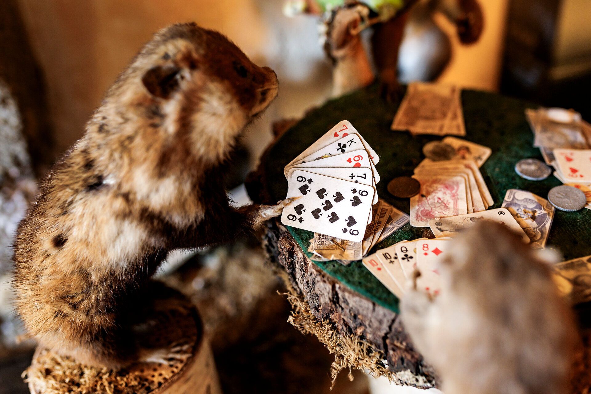 Kulinarik-Veranstaltung Gedanken-Gänge in Mary´s Scottisch Coffeepub in Wiener Neustadt. Ungezwungene Natürlichkeit trifft auf den rauen Charme der schottischen Highlands