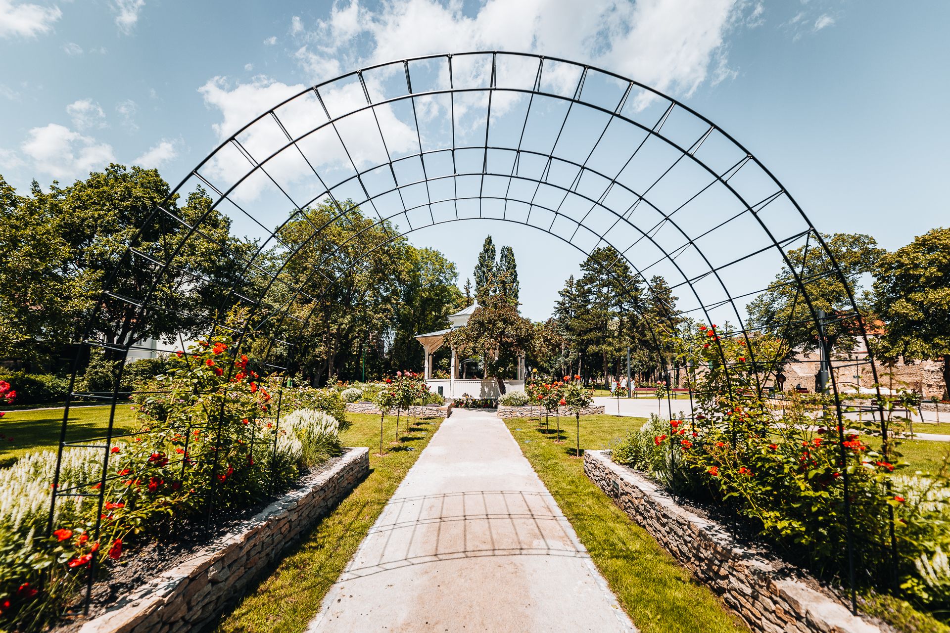 Rosenbogen im Stadtpark 