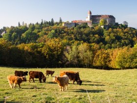 Burg Bernstein, &copy; Walter Laschober
