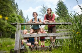 Wanderungen für die ganze Familie, © Wiener Alpen/Florian Lierzer