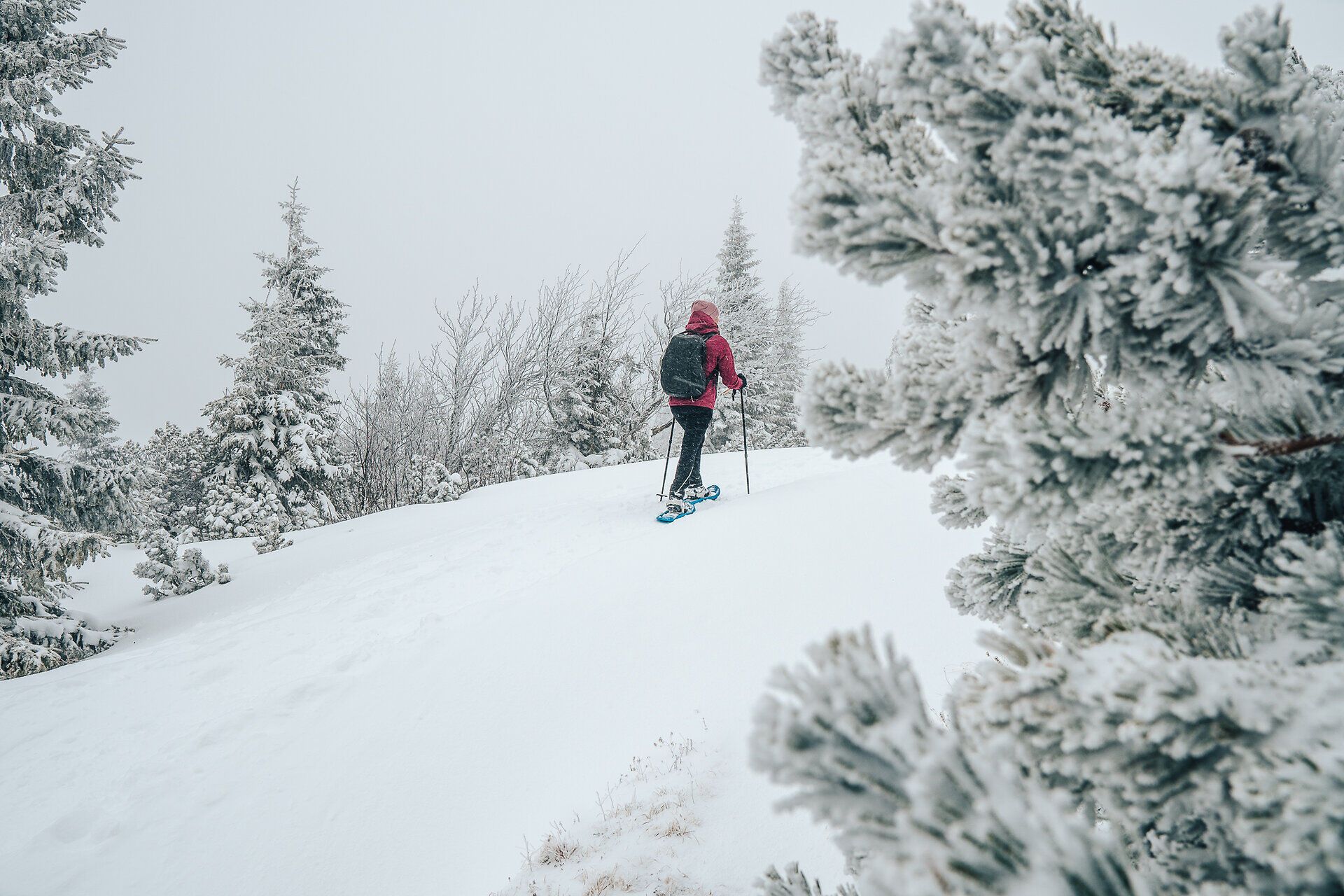 In der winterlichen Stille der Wiener Alpen wandert ein Schneeschuhläufer durch die glitzernde Schneelandschaft. Die schneebedeckten Bäume umrahmen den Weg und schaffen eine zauberhafte Atmosphäre, die zum Verweilen einlädt. Hier, wo die Natur in ihrer reinsten Form erstrahlt, wird jeder Schritt zu einem unvergesslichen Erlebnis.