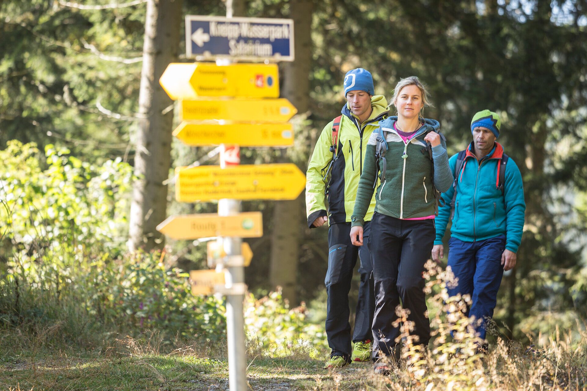 Die Wanderer genießen die frische Bergluft und die atemberaubende Aussicht auf die umliegenden Wälder und Wiesen. Der Weg führt durch eine malerische Landschaft, die zum Verweilen und Entdecken einlädt. Hier in den Wiener Alpen wird jeder Schritt zum Erlebnis.
