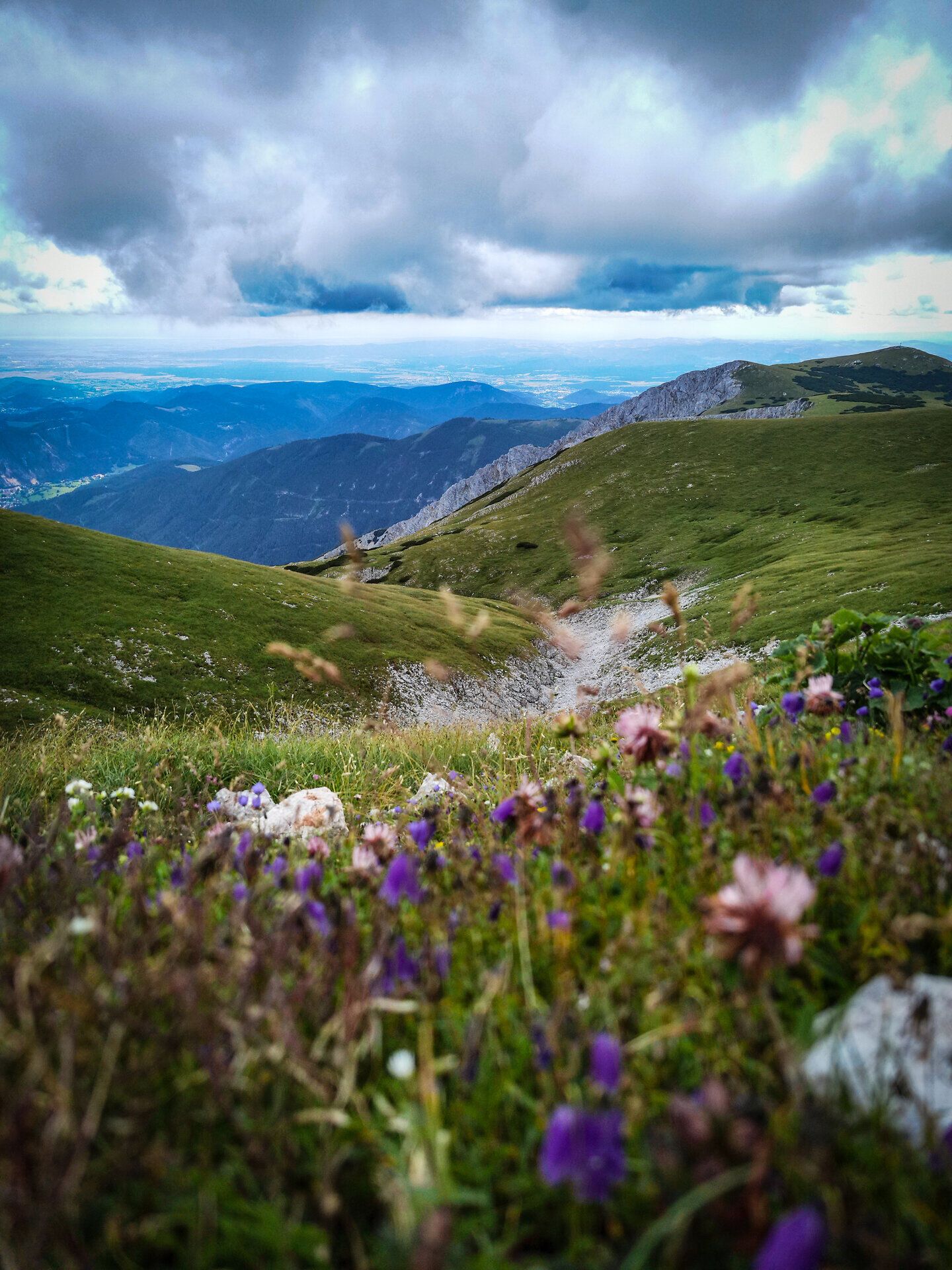 Die sanften Hügel und blühenden Wiesen laden zu einem unvergesslichen Abenteuer in der Natur ein. Hier, wo die Farben der Wildblumen mit dem strahlenden Grün der Landschaft verschmelzen, entfaltet sich die Schönheit des Bergsommers in voller Pracht. Ein Ort, an dem die Seele zur Ruhe kommt und die atemberaubenden Ausblicke zum Verweilen einladen.