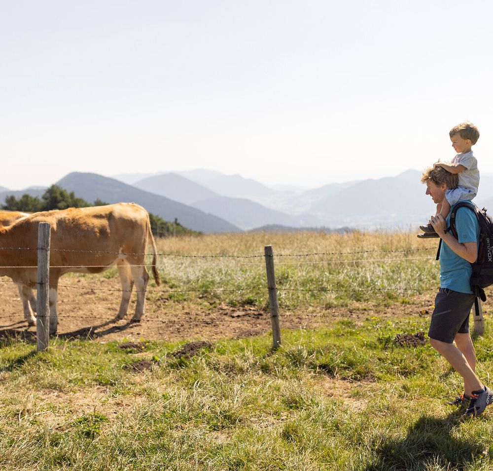 Eine Familie genießt einen sonnigen Tag in der Natur, während ein Kind fröhlich auf den Schultern eines Elternteils sitzt. Die sanften Hügel und die friedliche Atmosphäre laden zu einem unvergesslichen Wanderausflug ein, umgeben von grasenden Kühen und der majestätischen Kulisse der Wiener Alpen.