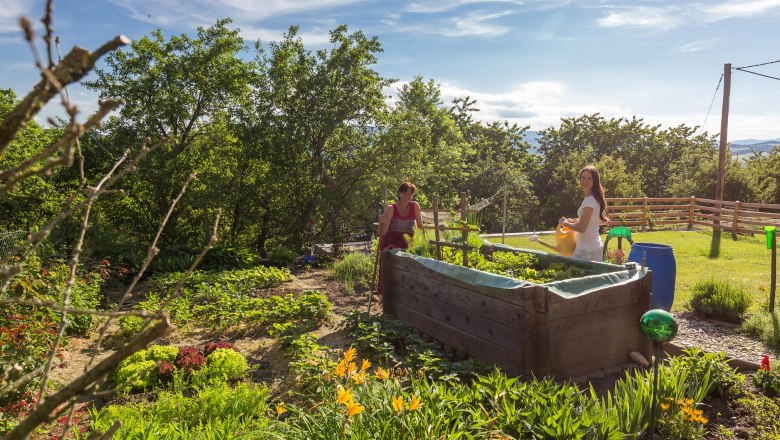 Two people work in a sunny garden with raised beds and plants.
