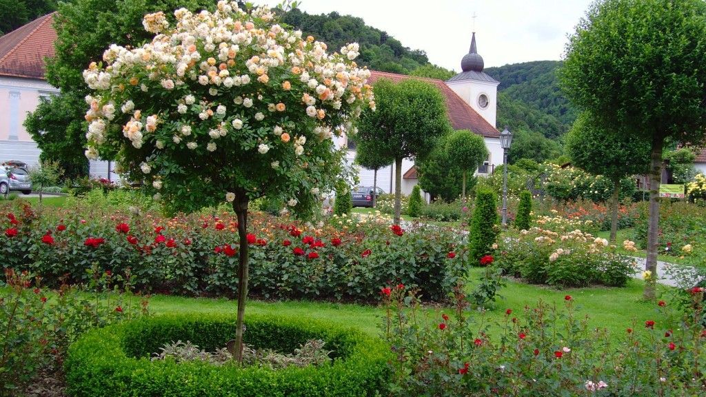 Rosengarten Pitten