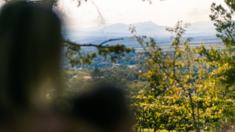 View through trees of a wide landscape with mountains in the background.