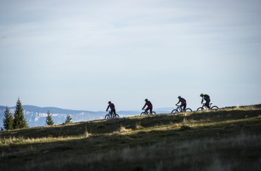 Wexl Trails &ndash; bikersk&yacute; r&aacute;j na pastvin&aacute;ch pohoř&iacute; Wechsel, &copy; Wexl Trails St.Corona/Familienarena