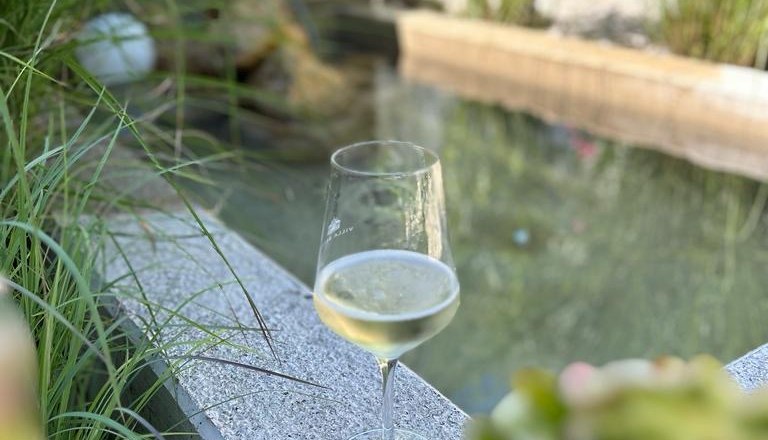 A wine glass stands on a stone edge next to a pond in the garden, surrounded by green plants.