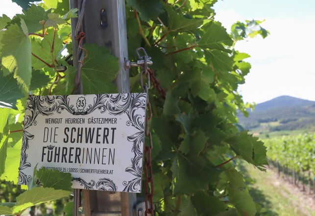 Winzerdinner, &copy; Weingut Schwertf&uuml;hrer 35