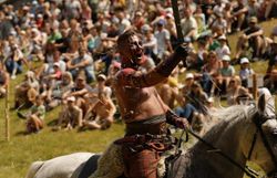 Fotos der Veranstaltung Keltenfestival im Freilichtmuseum in Schwarzenbach in der Buckligen Welt mit Kampfshow, Marktständen, Musikvorführungen und großem Lagerfeuer.