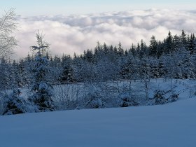 Beim Speicherteich, &copy; Wiener Alpen in Nieder&ouml;sterreich - Wechsel