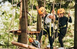 Inmitten der grünen Baumkronen erleben Kinder ein aufregendes Abenteuer im Waldseilgarten. Mit strahlenden Helmen und voller Entdeckerfreude meistern sie die schwebenden Hindernisse und genießen die frische Luft der Natur. Hier wird Teamgeist großgeschrieben, während sie gemeinsam die Herausforderungen meistern.